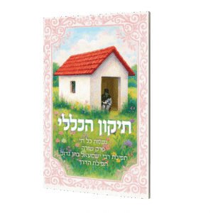 תיקון הכללי - גודל כיס