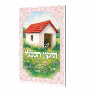 תיקון הכללי - גודל כיס