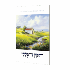 תיקון הכללי - גודל כיס