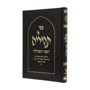 תהילים "ואני תפילה" - סקאי חום