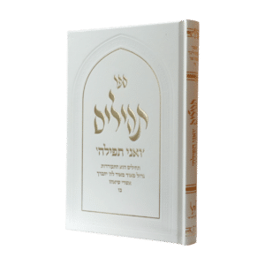 תהילים "ואני תפילה" - סקאי לבן